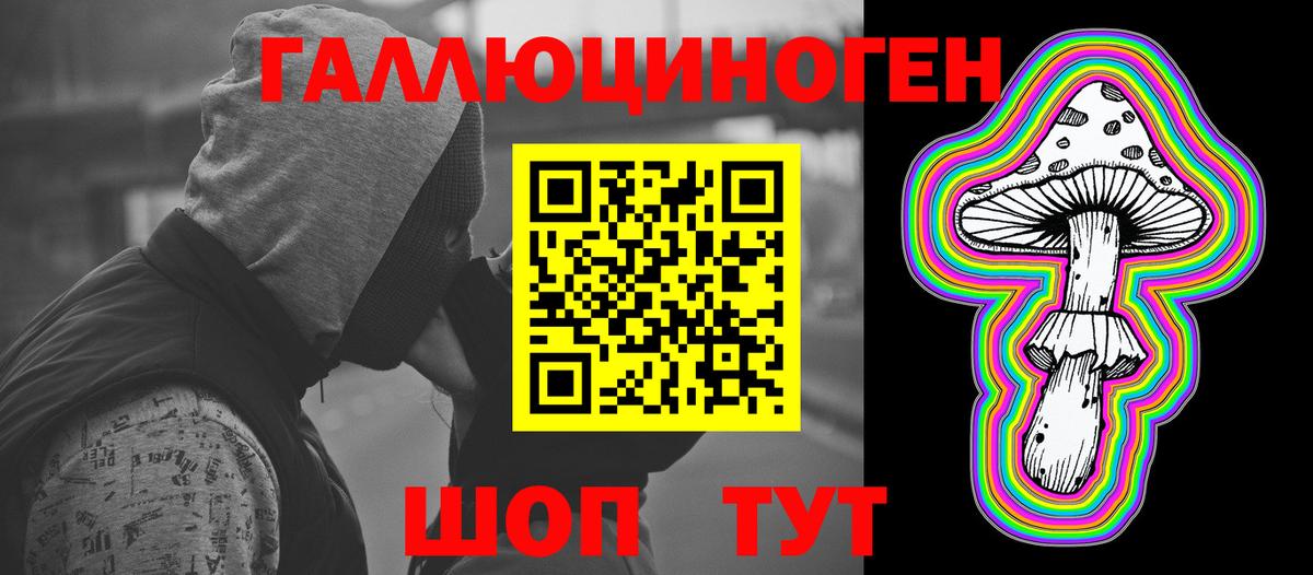 наркотики  Псилоцибиновые грибы ЛСД  Вход с VPN  Славгород 